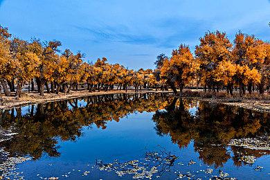 《模拟农场22》销量破600万 历时两年半